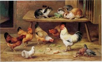 unknow artist Cocks and rabbits 130 Spain oil painting art